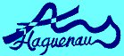Logo AOS